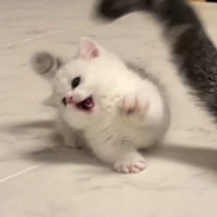 muimi82u's profile picture. 