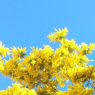 gilles13006's profile picture. Prof d'espagnol, SG Sgen CFDT Provence Alpes, mi-marseillais mi-criollito. Compte perso. #velotaf