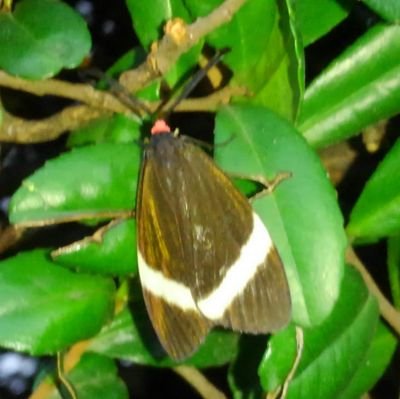 人生の荒波に飲まれかけのおっさんです。