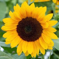 Elizabeth Reingold (@elizabethnyc7) 's Twitter Profile Photo Elizabeth Reingold (@elizabethnyc7) 's Twitter Profile Photo