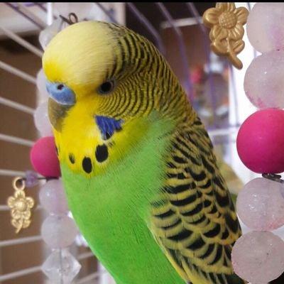 NuranKucukece's profile picture. 