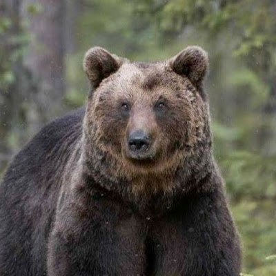 MirelMi02's profile picture. Prin mai multe