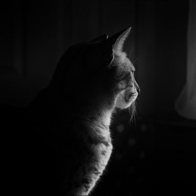 CHANGKYUNMAZE's profile picture. 2022. 02. 28