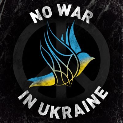 eiriksp0rts's profile picture. 