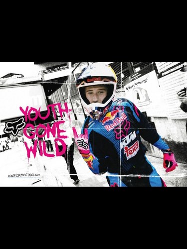 Nahuelkriger's profile picture. 