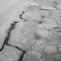 Alkim Kızır (@alkimkzr1) 's Twitter Profile