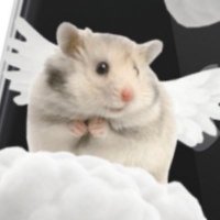 야동이다 (@9vvf8uxfkgup8c) 's Twitter Profile