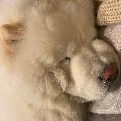 i_am__oliwia's profile picture. 