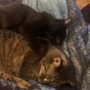 Colin Archer - @colingarcher - Twitter