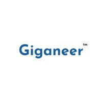 Giganeer(@giganeer) 's Twitter Profile Photo