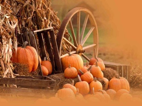 HalloweenCnxn's profile picture. The Halloween Connection is your connection to all things Halloween...enter if you dare!