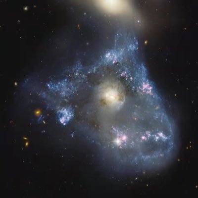 xuboomboom's profile picture. Doit