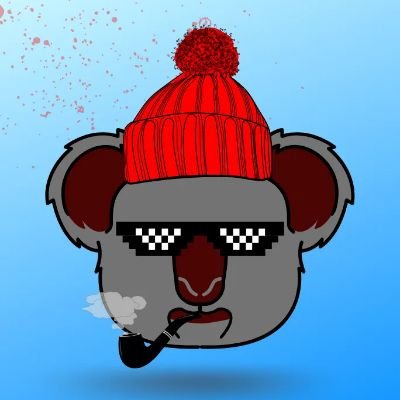 tublain's profile picture. NFT Design Koala 👌🔥