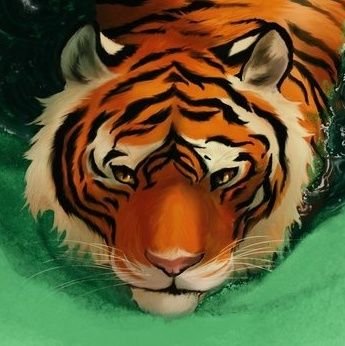 Mhaeckさんのプロフィール画像
