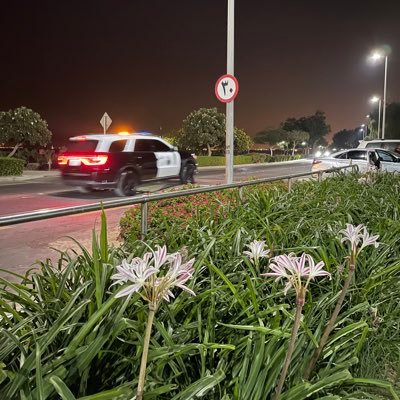 R00089's profile picture. 