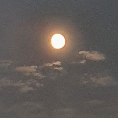 ptrkjo's profile picture. 짧은시인