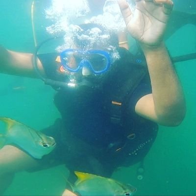 the_amit_mathur's profile picture. A Full-Stack Developer | 
Indian