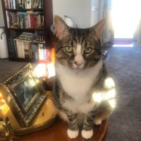 Oliver (@dora_ruby) 's Twitter Profile