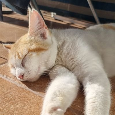 travelhacker4's profile picture. 