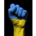 BenzisNAFO 🇺🇦 (@benzis7) Twitter profile photo BenzisNAFO 🇺🇦 (@benzis7) Twitter profile photo