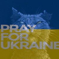 Madame Greebo • BW • 🇺🇦 • (@nureinhoernchen) Twitter profile photo