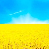 #HellomyNameis#🇺🇦🇪🇺💙💛🌻🌻(@scorpiogirl23) 's Twitter Profile Photo