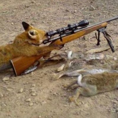 Y79Vz's profile picture. 倭国 →@kzhodowameku コレリス