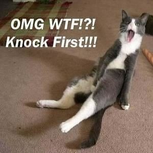 TimberSoul2022's profile picture. Non-Binary and Aroace
He/They/It
25