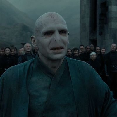 Lord Voldemort - Tom Marvolo Riddle - Herdeiro de Salazar Slytherin - Você-Sabe-Quem💚🐍 - se me irritar eu taco avada

add: @bellyvic240106