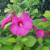 Defne (@defne__34) Twitter profile photo