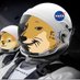 Space Investor (@risktoriches) Twitter profile photo Space Investor (@risktoriches) Twitter profile photo