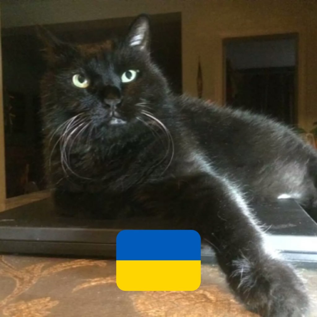 snow20160630's profile picture. 