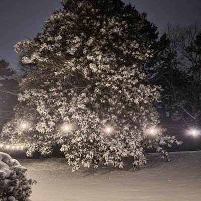 dousedingas's profile picture. He/Him
Retired US Army vet. Small town small business co-owner. 
I desire to follow in the footsteps, so I choose Love.