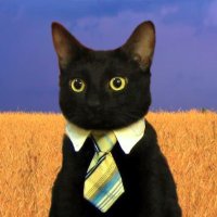 CryptoCat.๐บ๐ฆ (@cryptocatvc) 's Twitter Profile Photo CryptoCat.๐บ๐ฆ (@cryptocatvc) 's Twitter Profile Photo