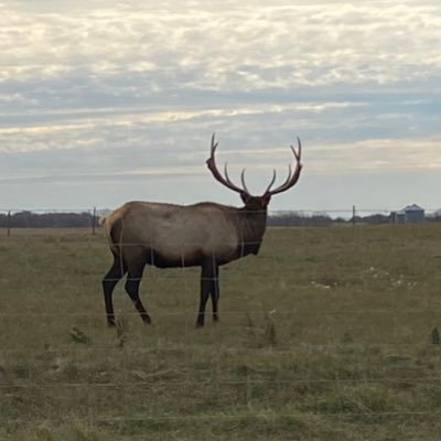 Trudeau hater.  Conservative. Hunter. Proud Saskatchewan boy.