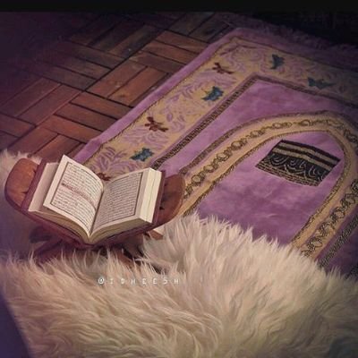 رب لك الحمد والشكر