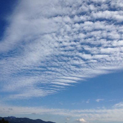 HND_TY4's profile picture. 