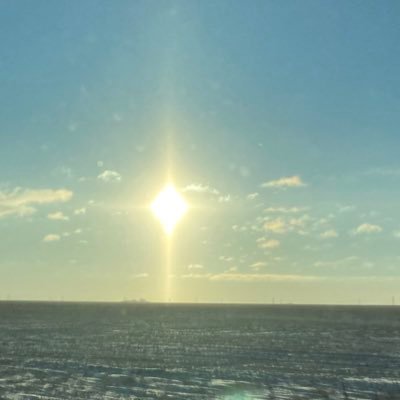 debbie_moquin's profile picture. 