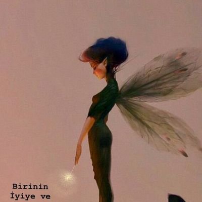 Krkmzrby's profile picture. ⚖️🎈📚