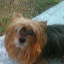 Hope barron - @Hopebarron - Twitter