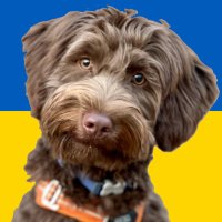 🇺🇦Max Plaid🇺🇦(@Max_Plaid) 's Twitter Profileg