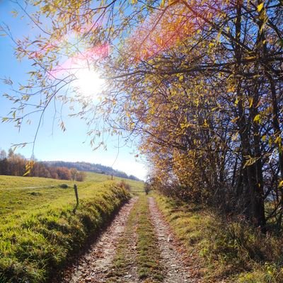 EwaFryd's profile picture. 