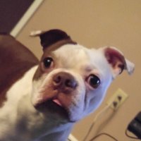 Luke (@luke29292929) 's Twitter Profile