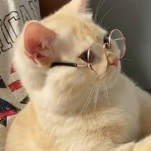 bilal21x's profile picture. 🎶🎶