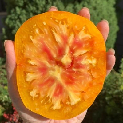 howtogardenorg's profile picture. Organic gardening sustains healthy food for people and pollinators, learn how to start your own mini-farm!