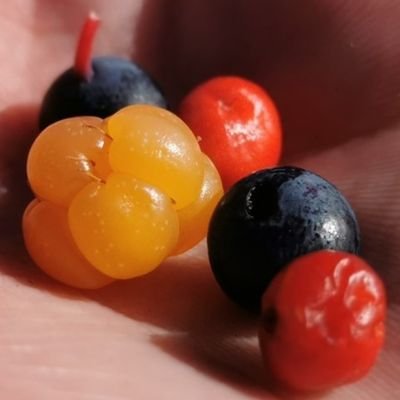 Momatwork3's profile picture. 