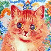 chem (@obamachemtrail) 's Twitter Profile