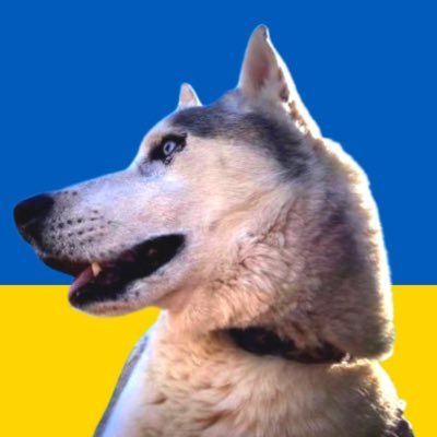 I'm a 55 (dog yrs old) Siberian Husky #Resister. I enjoy chasing lizards & licking my penis. I'm critical of humans but love people food. No DMs from cats! 🇺🇦