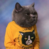 chowmeinpapi (@chowmeinpapii) 's Twitter Profile