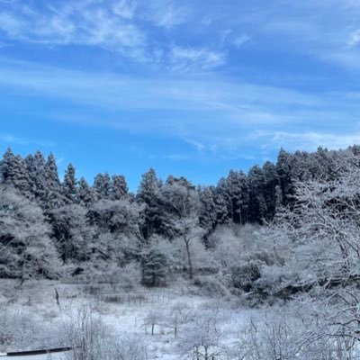 kwgaevjkjy2k's profile picture. 